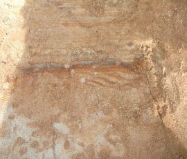 Kirchstetten_Rettungsgrabung_Foto_48