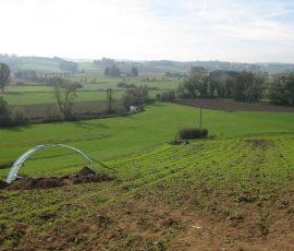 Kirchstetten_Rettungsgrabung_Foto_59