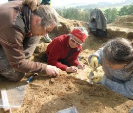 Kirchstetten_Rettungsgrabung_Foto_70