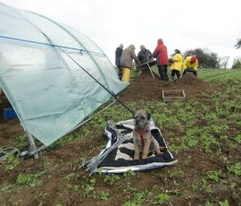 Kirchstetten_Rettungsgrabung_Grabungstag_1_Foto_11