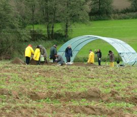 Kirchstetten_Rettungsgrabung_Grabungstag_1_Foto_13