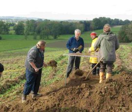 Kirchstetten_Rettungsgrabung_Grabungstag_1_Foto_23