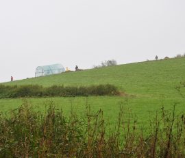 Kirchstetten_Rettungsgrabung_Grabungstag_1_Foto_33